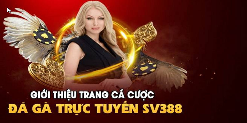 Sảnh SV388 mang đến cho người chơi những trận đấu nảy lửa, khốc liệt và gay cấn