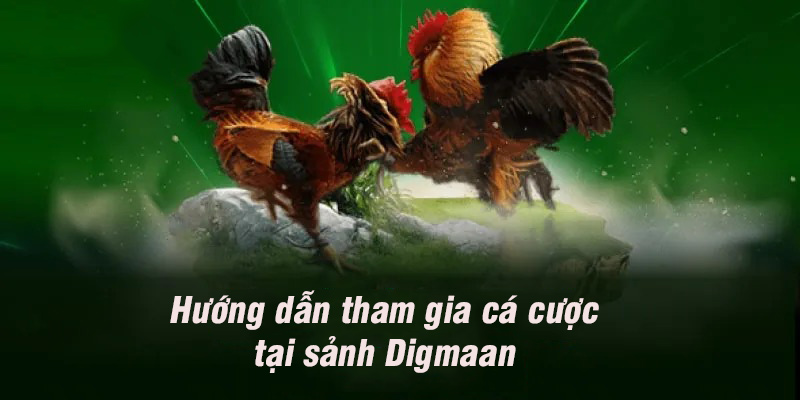 Hướng dẫn tham gia cá cược tại sảnh đá gà Digmaan BJ88